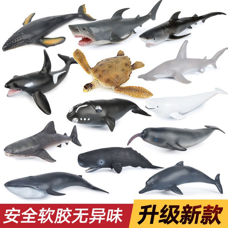 ของเล่นโมเดลปลาฉลาม-ปลาวาฬ-ปลาฉลาม-ปลาโลมา-ปลาฉลามขาว-ปลาฉลาม-ปลาฉลาม-ปลาวาฬ-ปลาฉลามกระจาย-แบบนิ่ม-orgf