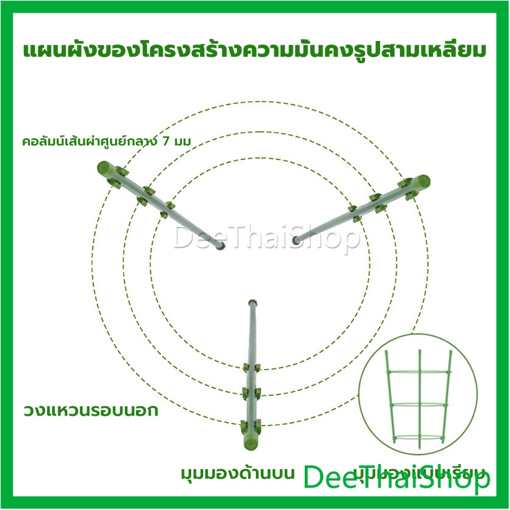 deethai-โครงเถาวัลย์-เสามะเขือเทศ-โครงปลูก-อุปกรณ์สำหรับพืชไม้เลื้อย-ซุ้มไม้เลื้อย-45cm-60cm-plant-trellis
