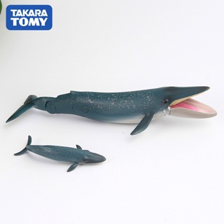 TAKARA TOMY โมเดลสัตว์ทะเล ปลาวาฬ สีฟ้า ของเล่นสําหรับแม่ และลูก870012 Lxox