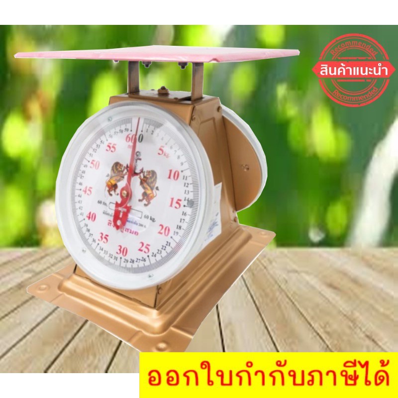 scale-เครื่องชั่งน้ำหนัก-เครื่องชั่งสปริง-60-กิโล-จานแบน