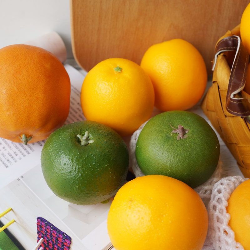 ส้มปลอม-ส้ม-ส้มปลอมไหว้เจ้า-โมเดลส้ม-สําหรับตกแต่งร้านค้า-แต่งบ้านเสริมฮวงจุ้ย-ส้มปลอมสำหรับตกแต่ง-เหมือนจริงมาก