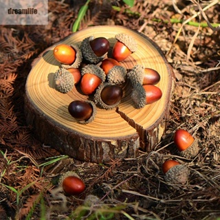 【DREAMLIFE】Artificial Acorns Wedding Decor 20pcs Display Set Nut Autumn Winter Festival