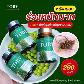 Toby Horsetail วิตามินบำรุงผม แก้ผมร่วง หัวล้าน ผมร่วงหลังคลอด โทบี้หางม้า บำรุงเส้นผม (โทบี้ กะปุกเขียว)