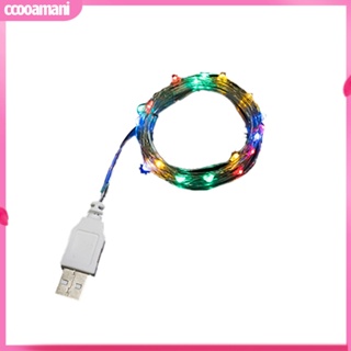 Ccooamani|  สายไฟ ลวดทองแดง 2 เมตร ชาร์จ USB สําหรับตกแต่งปาร์ตี้คริสต์มาส งานแต่งงาน