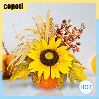 Copoti ฟักทองเมเปิ้ล สําหรับตกแต่งบ้าน ร้านอาหาร เทศกาล