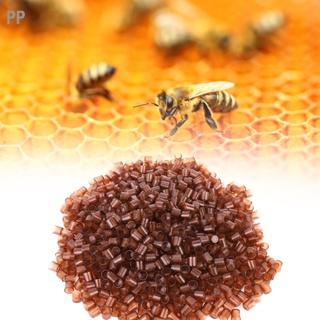 PP 1000PCS Beekeeping Queen Cell Brown Plastic Bee Feeding เครื่องมือ ใช้ได้กับผู้เลี้ยงผึ้ง
