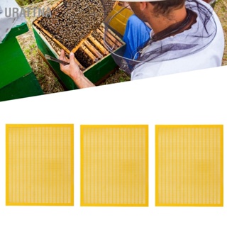 URATTNA 3 ชิ้นพลาสติกราชินีป้องกันกำจัดกับดักตาข่ายเครื่องมือการเลี้ยงผึ้งแยกแผ่นรังผึ้งสีเหลือง
