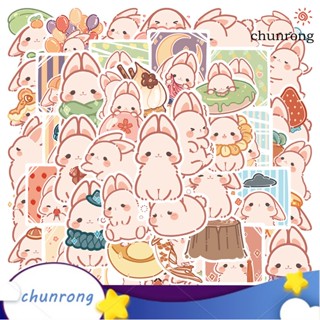 Chunrong สติกเกอร์กระดาษใส ลายการ์ตูนกระต่ายน่ารัก มีกาวในตัว สําหรับติดตกแต่งกระเป๋าเดินทาง แล็ปท็อป พร็อพถ่ายภาพ 50 ชิ้น