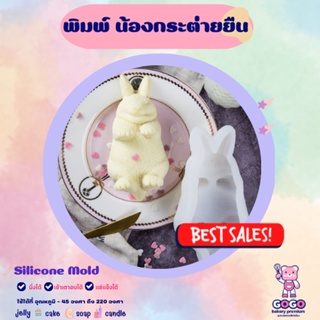 3D พิมพ์น้องกระต่ายยืน พิมพ์ซิลิโคน ทำวุ้น ทำขนม