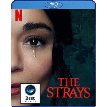 แผ่นบลูเรย์-หนังใหม่-the-strays-2023-คนหลงทาง-เสียง-eng-ไทย-ซับ-eng-ไทย-บลูเรย์หนัง