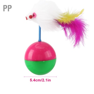 PP Pet Cat Kitten Teasing Toy Teaser ลูกบอลขนหลากสีสันตลกของเล่นแบบโต้ตอบเล่นเกม