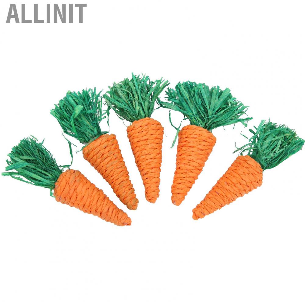 allinit-5pcs-pet-chewing-toy-braiding-small-toys-for-hamsters-rabb-gt