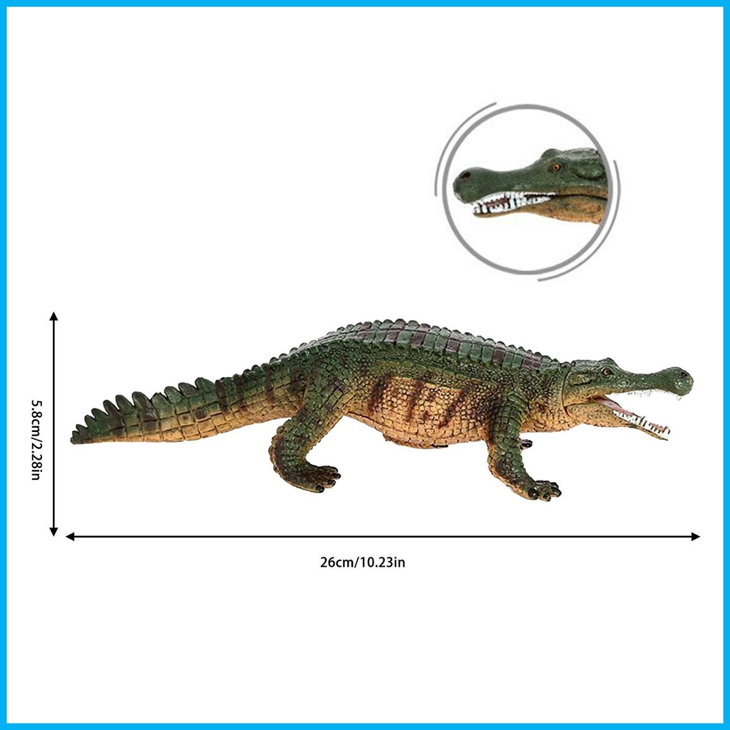 โมเดลจระเข้จําลอง-เหมือนจริง-ของเล่นสําหรับเด็ก