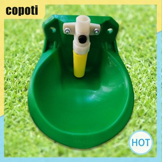 Copoti น้ําพุอัตโนมัติ ประหยัดเวลา และแรง สําหรับฟาร์มแกะ