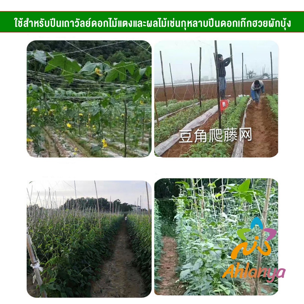 ahlanya-ตาข่ายปลูกพืชผัก-โครงไม้เลื้อย-ค้างปลูกผัก-อวนปลูกผัก-plant-support