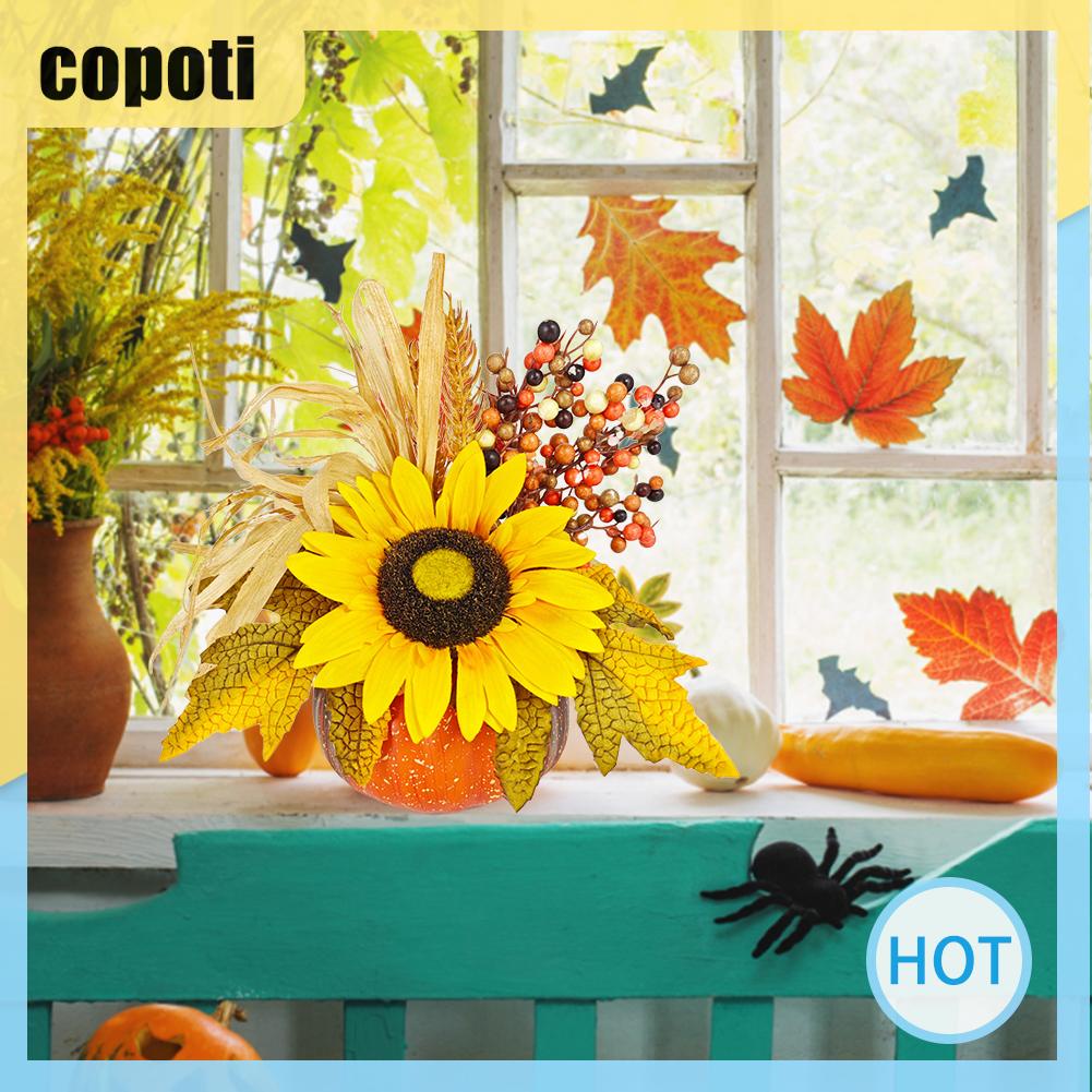 copoti-ฟักทองเมเปิ้ล-สําหรับตกแต่งบ้าน-ร้านอาหาร-เทศกาล