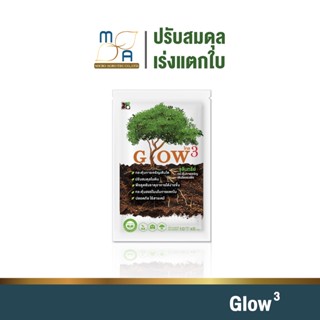 Glow3 โกล3 จุลินทรีย์เจริญเติบโตของพืช ป้องกันโรคพืช เพิ่มผลผลิต ปรับสมดุลในดิน พืชดูดซับธาตุอาหาร พืชโตไว ใบเขียวหนา