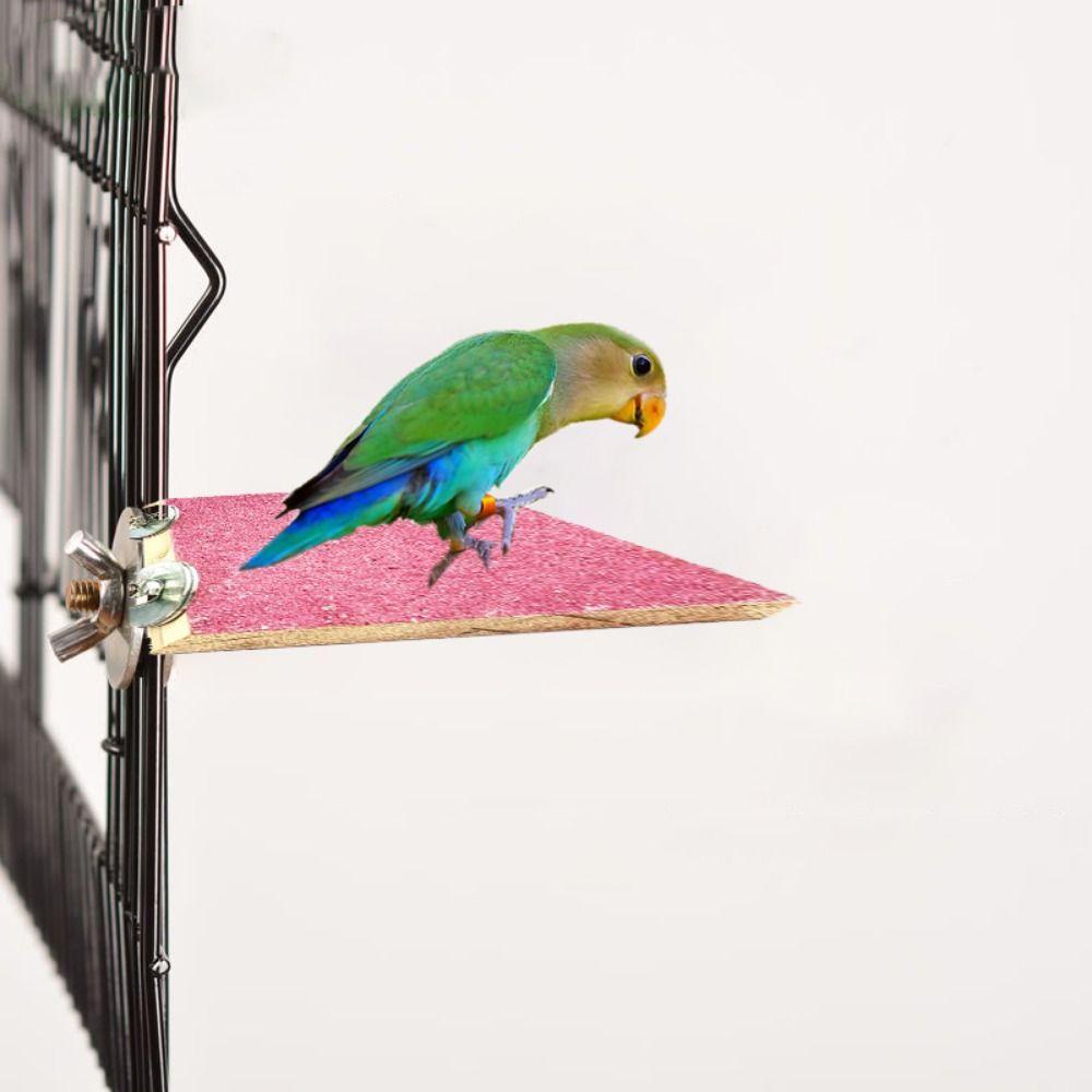 alisond1-นกแก้ว-คอน-ที่มีสีสัน-ทนต่อการสึกหรอ-สี่เหลี่ยมผืนผ้า-อุปกรณ์เสริมนก-สําหรับนกแก้ว-นกค็อกคาเทล-นกบัดจี้จัม-นกแก้ว-อุ้งเท้า-เจียร