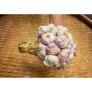 กระเทียมไทยกลีบม่วง 500 กรัม ครึ่งกิโลกรัม กระเทียมม่วงศรีสะเกษ คัดพิเศษThai Garlic : 500 g photo