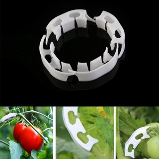 20Pcs Vine Tomato Clip Tool Fixing Clips Retaining Holder Tomato Trellis Clip Clearance sale