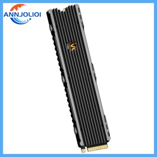 Ann ฮีทซิงค์ PCI-E NVME สําหรับ M 2 22110 NGFF Desktop Dedicated Solid State Drive Radia