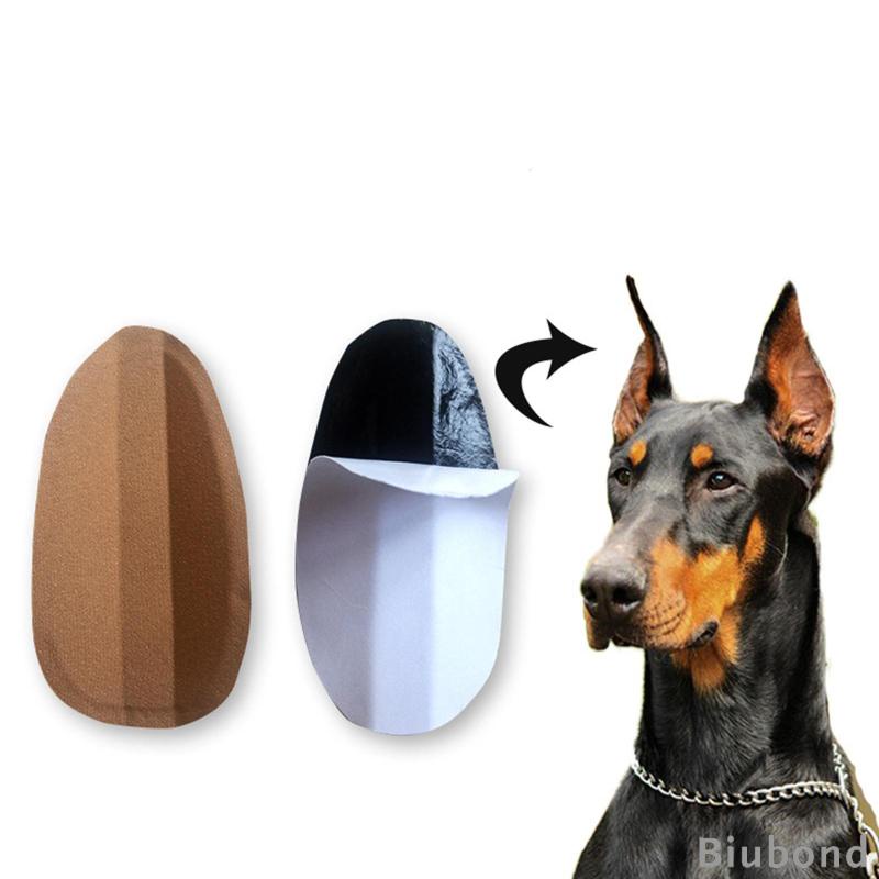 biubond-สติกเกอร์ติดหู-สําหรับสัตว์เลี้ยง-สุนัข-doberman-pinscher-samoyed