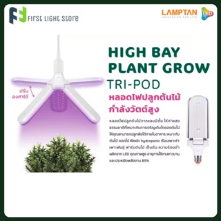 LAMPTAN หลอดไฟปลูกต้นไม้ High Bay Plant Grow Tri-Pod 27W ค่าสเปกตรัมแสงธรรมชาติสำหรับปลูกต้นไม้ ขั้ว E27 ปรับองศาได้