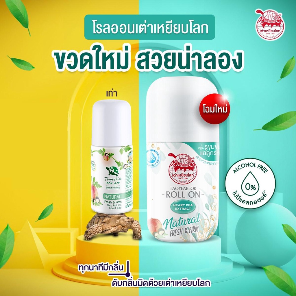 ของแท้-ส่งด่วน-ถูก-jt-taoyeablok-roll-on-เต่าเหยียบโลก-เฟรช-แอนด์-เฟิร์ม-ดีโอ-โรลออน-ระงับกลิ่นกาย-x-6-ชิ้น-dayse