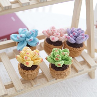 Succulents กระถางต้นไม้ บอนไซจําลอง ผ้าวูล ขนาดเล็ก สีเขียว สําหรับตกแต่งโต๊ะ