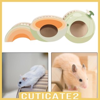 [Cuticate2] อุโมงค์ไม้ ขนาดเล็ก พร้อมบันไดปีน สําหรับหนูแฮมสเตอร์