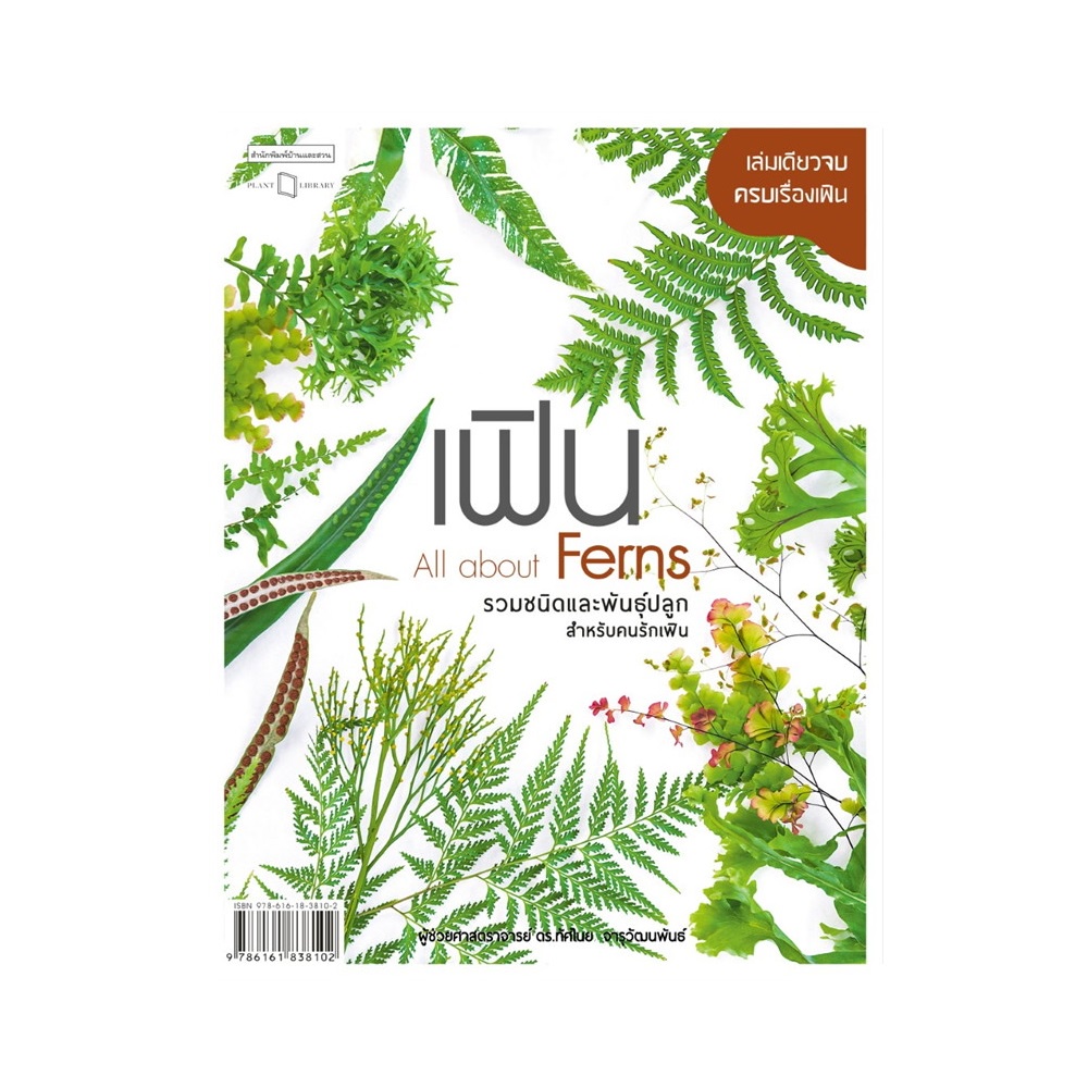 b2s-หนังสือ-เฟิน-all-about-ferns-รวมชนิดและพันธุ์ปลูกสำหรับคนรักเฟิน