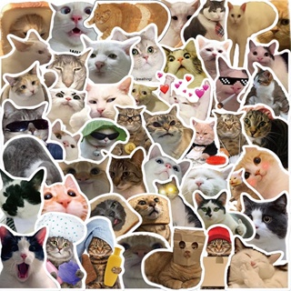 สติกเกอร์ ลายกราฟฟิตี้แมว กันน้ํา มีกาวในตัว สําหรับตกแต่ง มี 10 ชิ้น