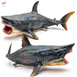 โมเดล Megalodon ไม่ซีดจาง และประณีต สําหรับตกแต่ง