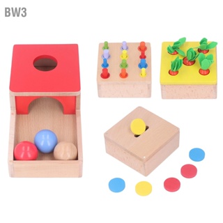 BW3 ชุดของเล่นไม้ 4 in 1 Object Permanence Box Carrot Harvest Shape Color Sorting Stacking Learning Toy for Toddlers
