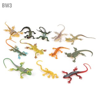 BW3 12 ชิ้น/เซ็ตสีสันจำลองจิ้งจกรุ่นเด็กเด็กสัตว์ของเล่นอุปกรณ์ประกอบฉากการสอนเครื่องมือ
