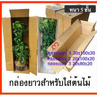 กล่องต้นไม้ กล่องใส่ต้นไม้ กล่องผลไม้ ราคาส่ง ลูกฟูก 5 ชั้น (แพ๊ค 5 ใบ) ส่งฟรี