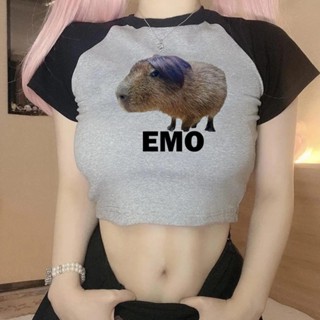 Emo capybara fairy grunge trashy yk2 เสื้อครอปท็อป ไซเบอร์ y2k 2000s เสื้อผ้าแฟชั่นเกาหลี เพื่อความสวยงาม เสื้อยืด