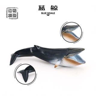 ❤การขายส่งโรงงานอุตสาหกรรม❤โมเดลสัตว์ทะเลจําลอง พลาสติกแข็ง รูปปลาวาฬ สีฟ้า ของเล่นเสริมการเรียนรู้ สําหรับเด็ก