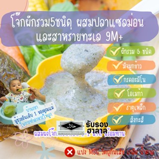 บ้านรยา (9m+) โจ๊กผักรวม5ชนิด ผสมปลาแซลม่อน และสาหร่ายทะเล 120g อาหารเด็ก อาหารสำ