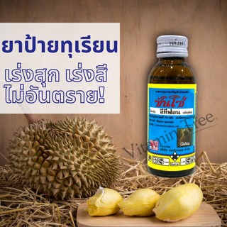 Thuốc dán sầu riêng, dung dịch trong, không màu, thuốc thúc chín, thúc màu, không gây hại hoặc kích thích sinh trưởng sapodilla Sunco (E‑Tifon) 100 cc