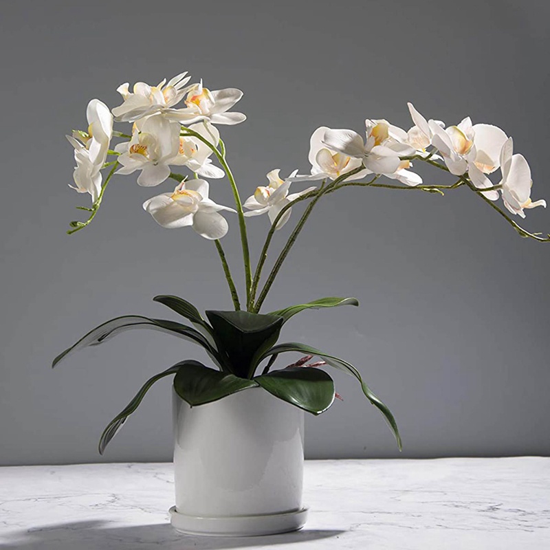 phalaenopsis-กล้วยไม้ประดิษฐ์-ใบกล้วยไม้ปลอม-สีเขียว-6-ชิ้น