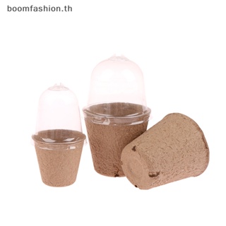 [boomfashion] กระถางปลูกต้นไม้ พร้อมเมล็ดโดมความชื้น 5 ชิ้น ต่อชุด [TH]