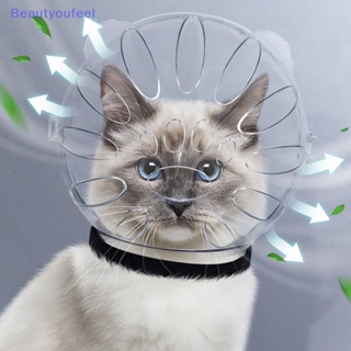 [Beautyoufeel] ตะกร้อครอบปาก กันกัด ระบายอากาศ กันเลีย ใช้ซ้ําได้ สําหรับสัตว์เลี้ยง แมว 1 ชุด