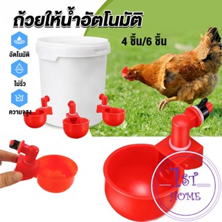 ถ้วยให้น้ำอัตโนมัติ สำหรับไก่ 4 ชิ้น 6 ชิ้น Automatic drinker