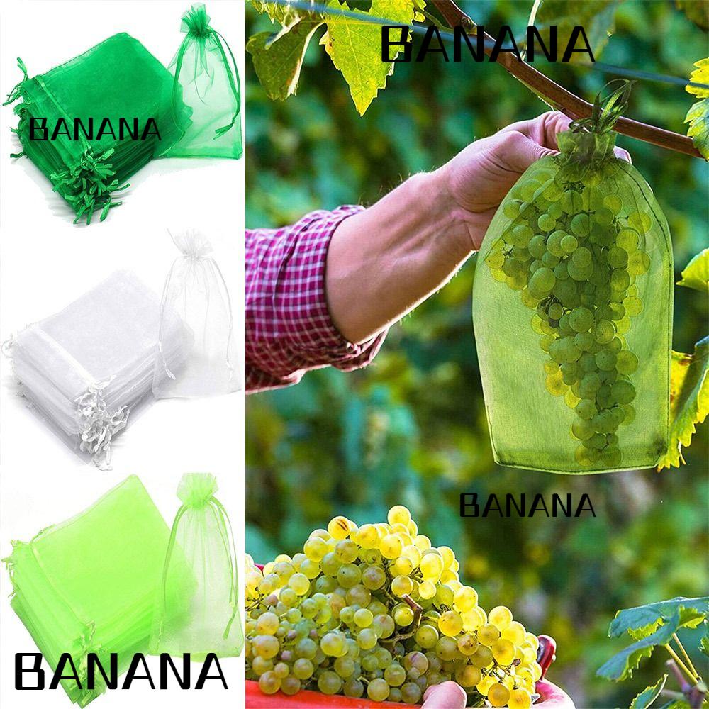 banana1-ถุงตาข่ายปลูกผัก-ผลไม้-กันแมลง-ป้องกันแมลง-30-ชิ้น
