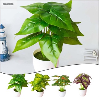 【DREAMLIFE】Potted Plant 26cmX 24cm Artificial Brown Floral Décor Highly Realistic