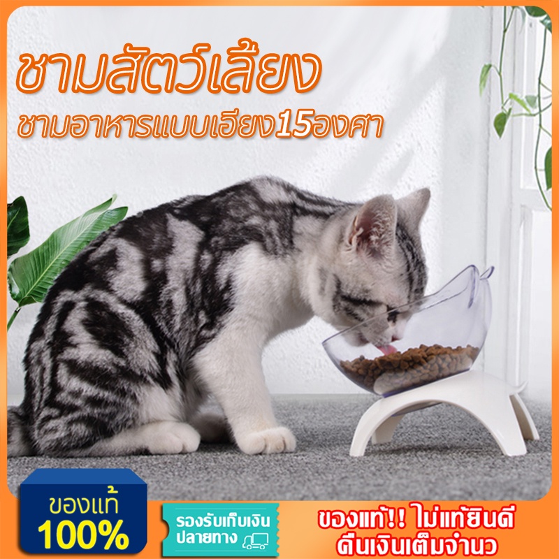 ชามแมว-ชามสัตว์เลี้ยง-ชามอาหารแมว-ชามใส่อาหารแมว-ที่ใส่อาหารสัตว์เลี้ยง-ชามข้าวแมว-pet-bowl-pvc-ชามอาหารแบบเอียง15องศา