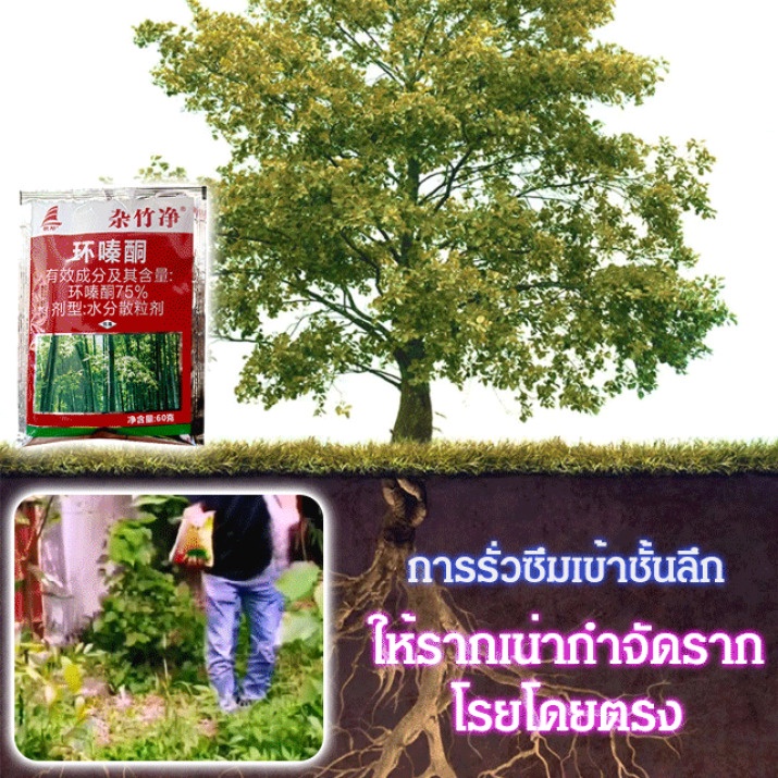100-ในสต็อก-1-2-ชิ้น-ผงเฮกซาซิโนนกำจัดรากต้นไม้รากวัชพืช