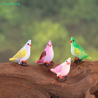 &lt;Chantsing&gt; กระถางต้นไม้ ขนาดเล็ก สําหรับตกแต่งบ้าน และสวน
