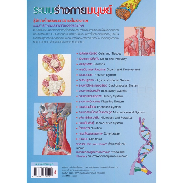 arnplern-หนังสือ-ระบบร่างกายมนุษย์-human-body